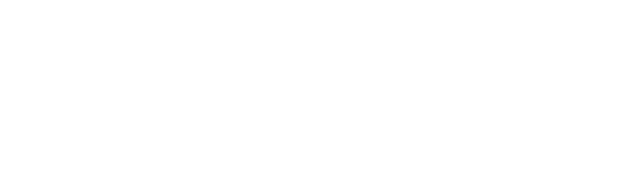 Bárdi Autó