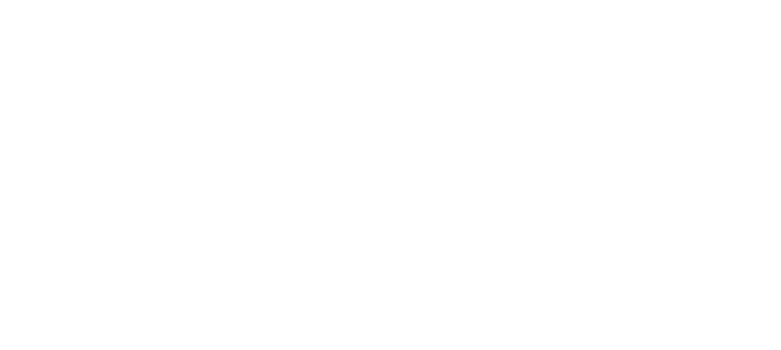 Iron Plast